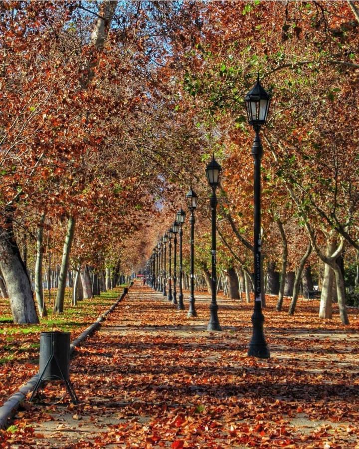 سانتياغو Bed & Breakfast Lastarria المظهر الخارجي الصورة